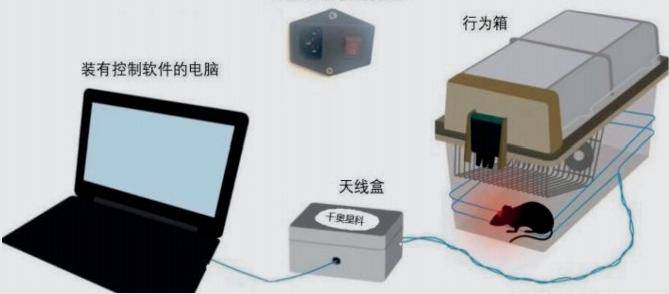 無線光遺傳 - 磁場版-1.jpg