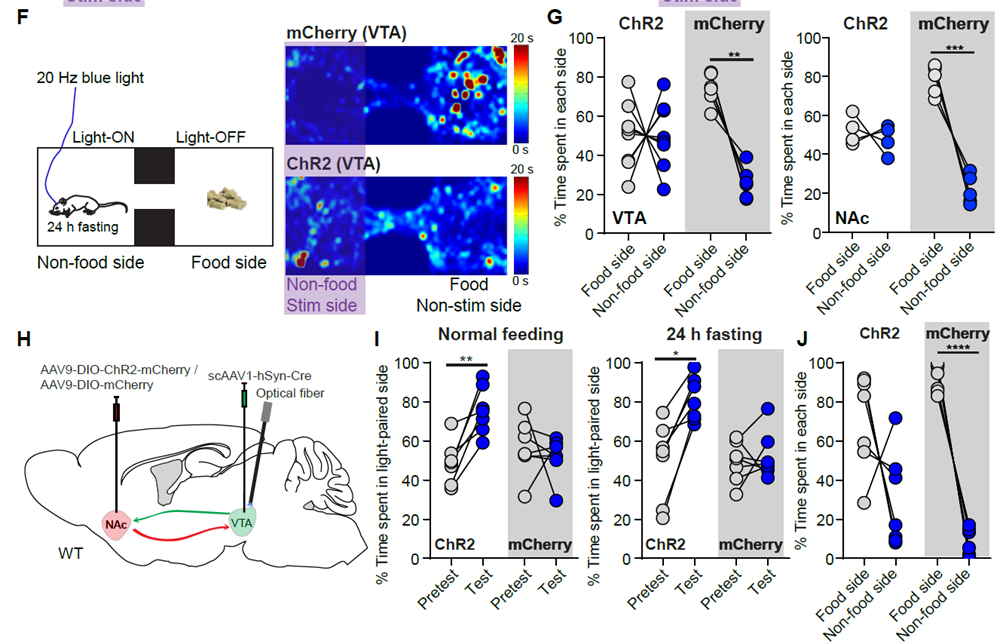 肖雷1.png 肖雷1.png